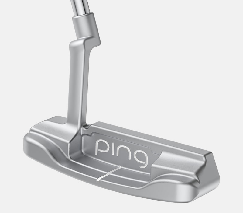 Cavity view of G Le3 Anser putter