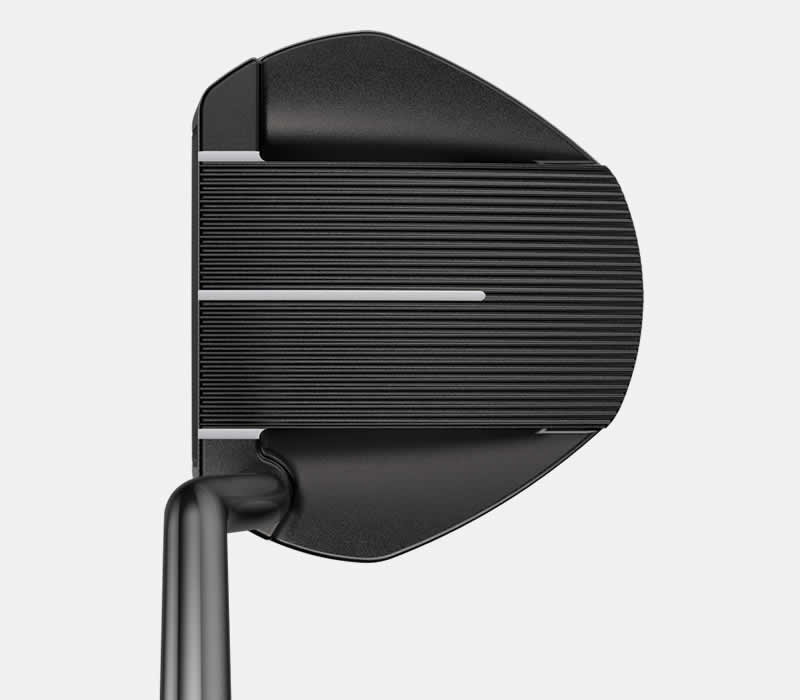 address view of PING 2021 Fetch putter